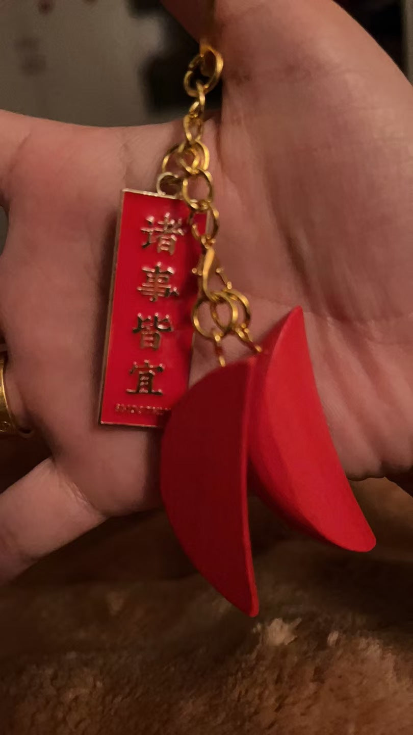 ChaoShan-Feng-Shui-Holy-Grail-Pendant-Keychain-1