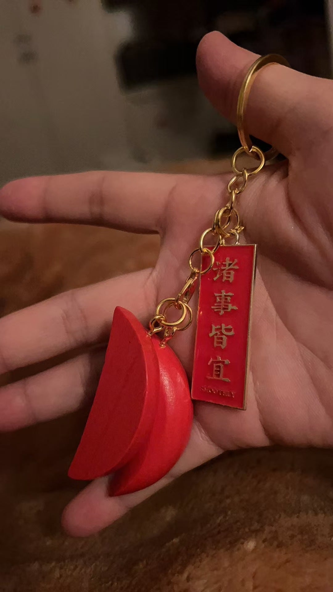 ChaoShan-Feng-Shui-Holy-Grail-Pendant-Keychain-13