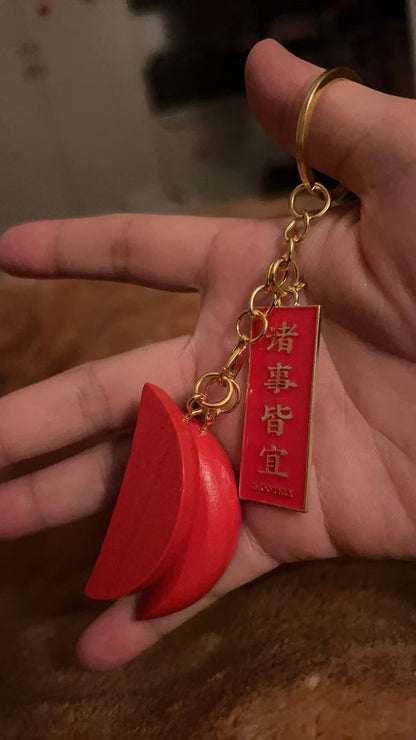 ChaoShan-Feng-Shui-Holy-Grail-Pendant-Keychain-13
